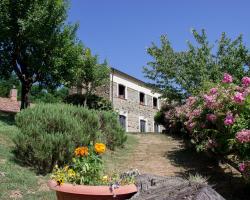 La Rosa Nel Bicchiere