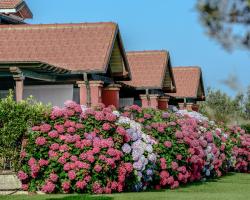 La Pecora Ladra Appartamenti