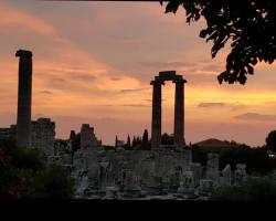 Medusa House Butik Hotel