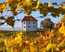 Wine Grower's Mansion Zlati Gric