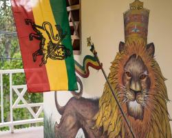 The Lion House Jamaica