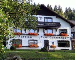 Hotel-Pension "Zum Ochsenkopf"