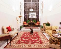 Angel Boutique Rooms