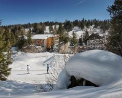 Hotel Garni Elisir