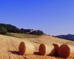 Agriturismo Il Fienile di Cà Battista