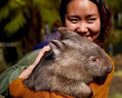 Fauna Australia Wildlife Retreat