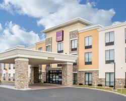 Comfort Suites Cicero - Syracuse North