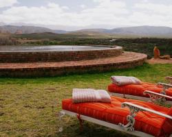 Rietfontein Ostrich Palace