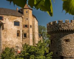 Burg Plankenstein