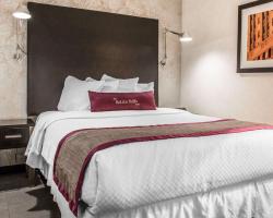 The Solita Soho Hotel, Ascend Hotel Collection