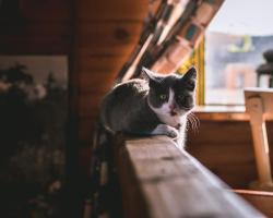 Гостевой Дом Воскресение