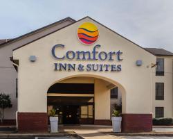 Comfort Inn & Suites Jasper Hwy 78 West