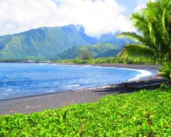 Tahiti Surf Beach Paradise