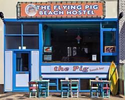 The Flying Pig Beach Hostel, ages 18 - 40