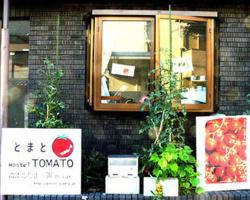 Tomato Guest House