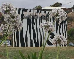 Zebras Guesthouse