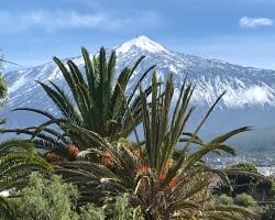 LOFT DOA with panoramic views and Wifi San Marcos