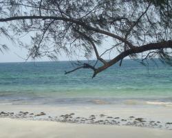 Diani Bay Resort