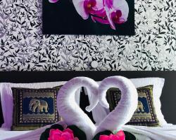 B&B Kookhai