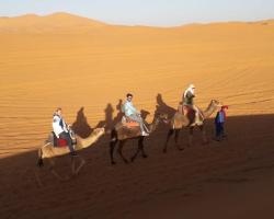 Sahara Life Trips