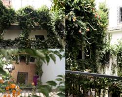 Bougainvillea Riad