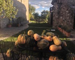 Azienda Agricola Il Querceto