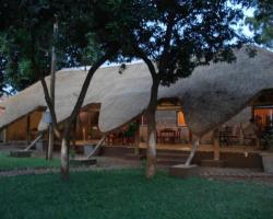 Olga's The Italian Corner