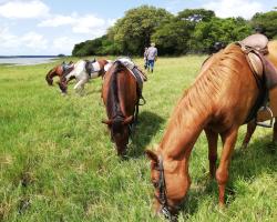 We Bushcamp & Horse Safaris