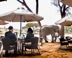 Elephant Bedroom Camp - Samburu