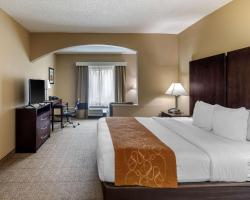 Comfort Suites The Colony - Plano West