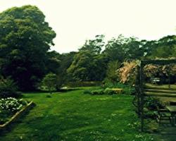 Birdwing Bed and Breakfast Weegena
