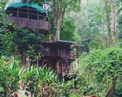 Jungle Jive Tree House Munnar