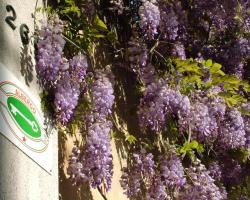 Locanda Sant'Anna Hotel