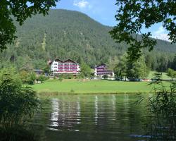 Alpenhotel Linserhof