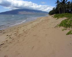 Hale Kai O' Kihei by AA Oceanfront Rentals and Sales