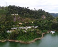 Belum Rainforest Resort