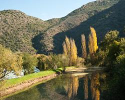 Old Mill Lodge, Seasonal Working Ostrich Farm & Restaurant, Oudtshoorn