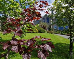 Apartments at Ballinsheen House & Gardens