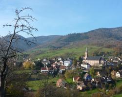 Gîte Schlitteur Et Sapiniere