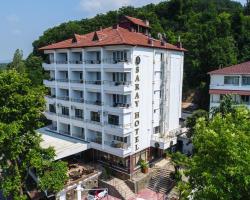 Thermal Saray Hotel & Spa Yalova