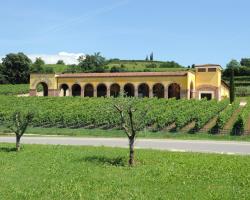 Monte Tondo Winery