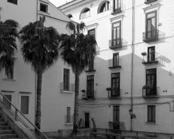 Palazzo Morese Apartments