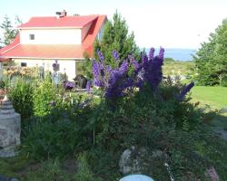 Maison Monsieur Mario