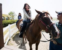 El Patio Ranch