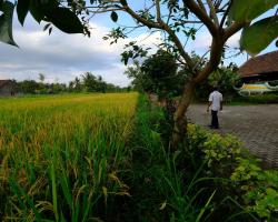 Villa Sawah Gondang Legi