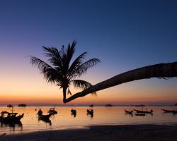 Lotus Paradise Resort - SHA PLUS
