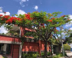 Hotel Arbol de Fuego