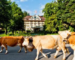 Le Grand Bellevue