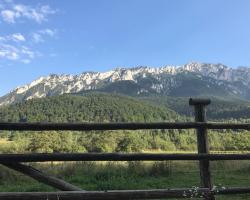 Pensiunea Kyfana Zarnesti
