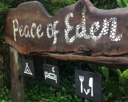 Peace of Eden Vegan Forest Lodge